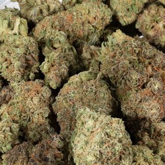 1oz Pina Colada! New Store Special!