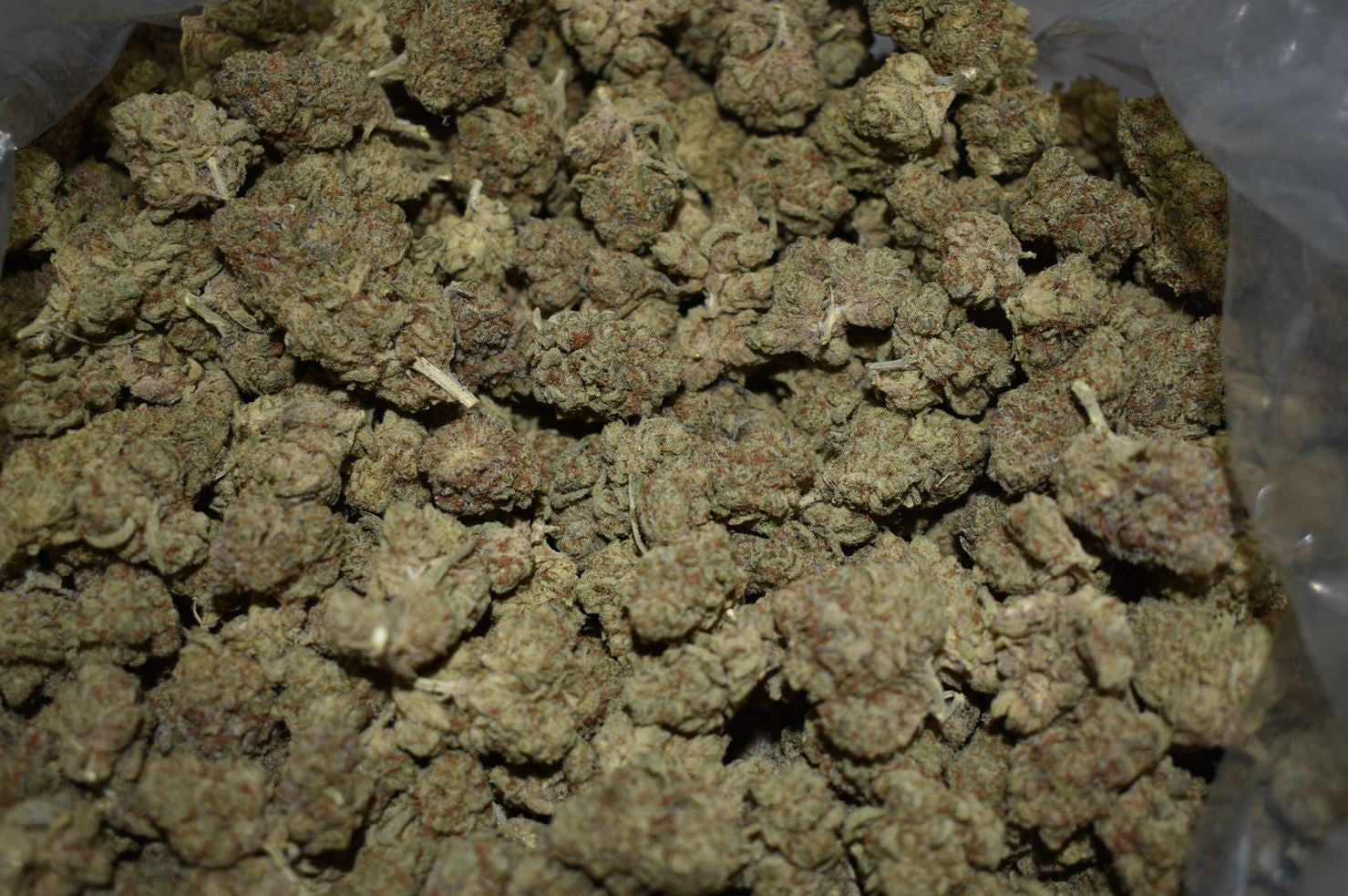 $995 1 Pound Cannabis MIDDLE SHELF Cereal Milk