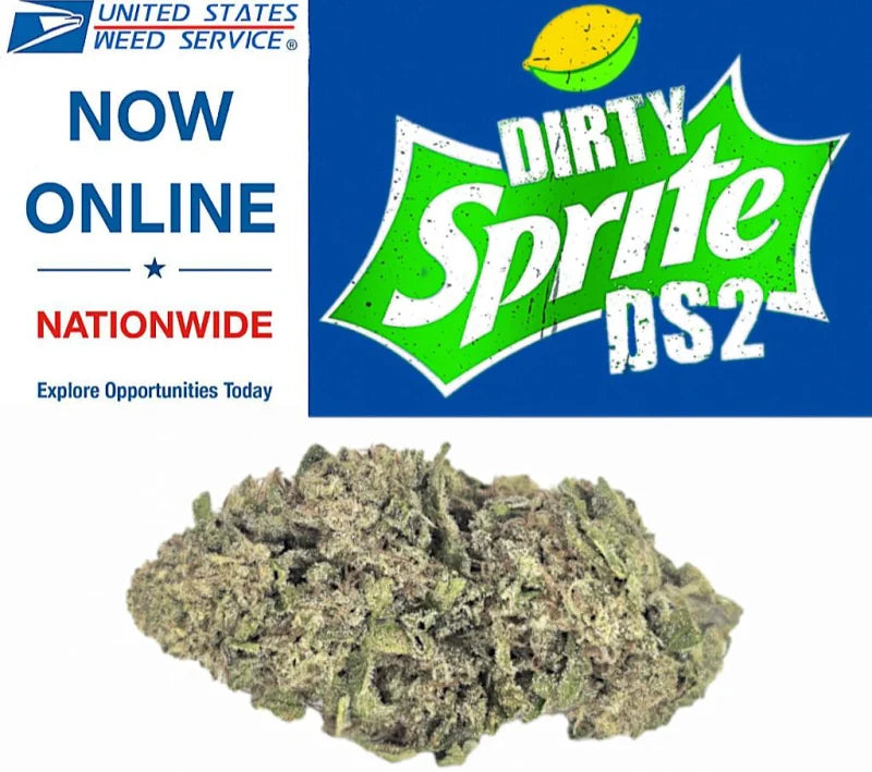 * Flower * - Dirty Sprite - [ INDOOR ]
