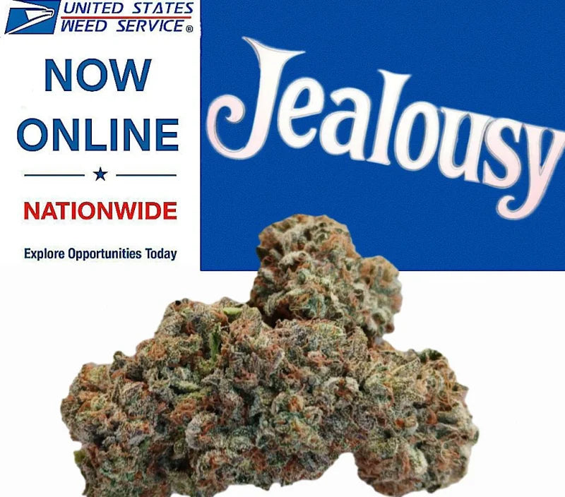 * Flower * - Jealousy