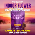 The Dopest Shop Indoor Bigs: Sunset Kush Indica flower 14 grams 50% off