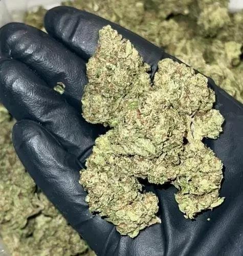 ✨ Ooh-LaLa (7g-28g) (+Free Ship)