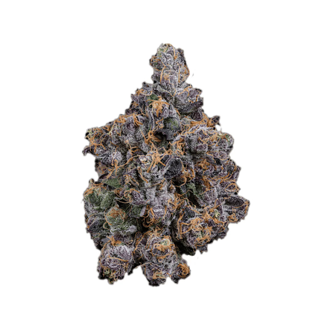 Red Hotz Flower 7g (Fiya Farmer Genetics)