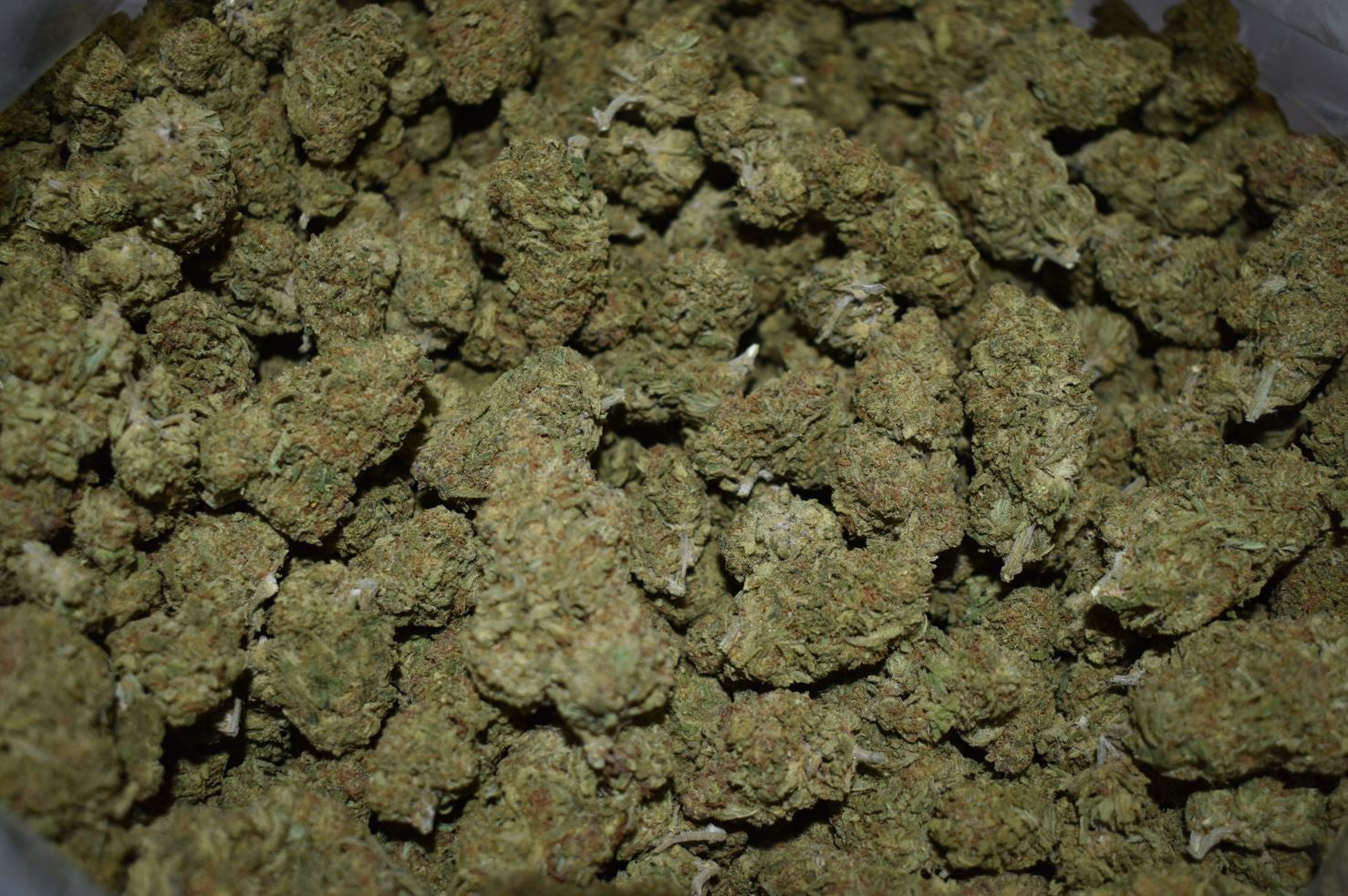 $500 1 Pound Cannabis DEAL Papaya