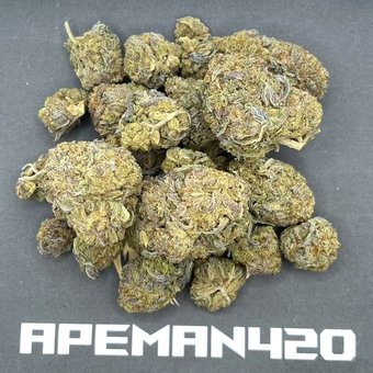 White Truffle INDOOR 112g