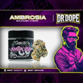 Connected Ambrosia Flower 448g