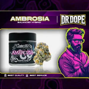 Connected Ambrosia Flower 448g