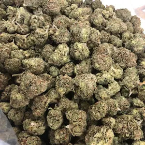 Apple Fritter 1 oz (28grams) Indoor Bud!