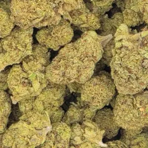 Prom Queen Flower 28g