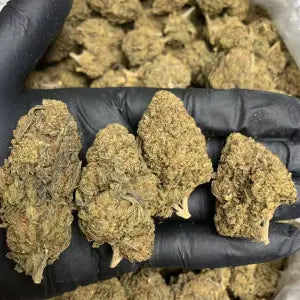 deps GMO Cookies Flower 28g