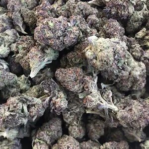 Lemon Cherry Gelato 112g