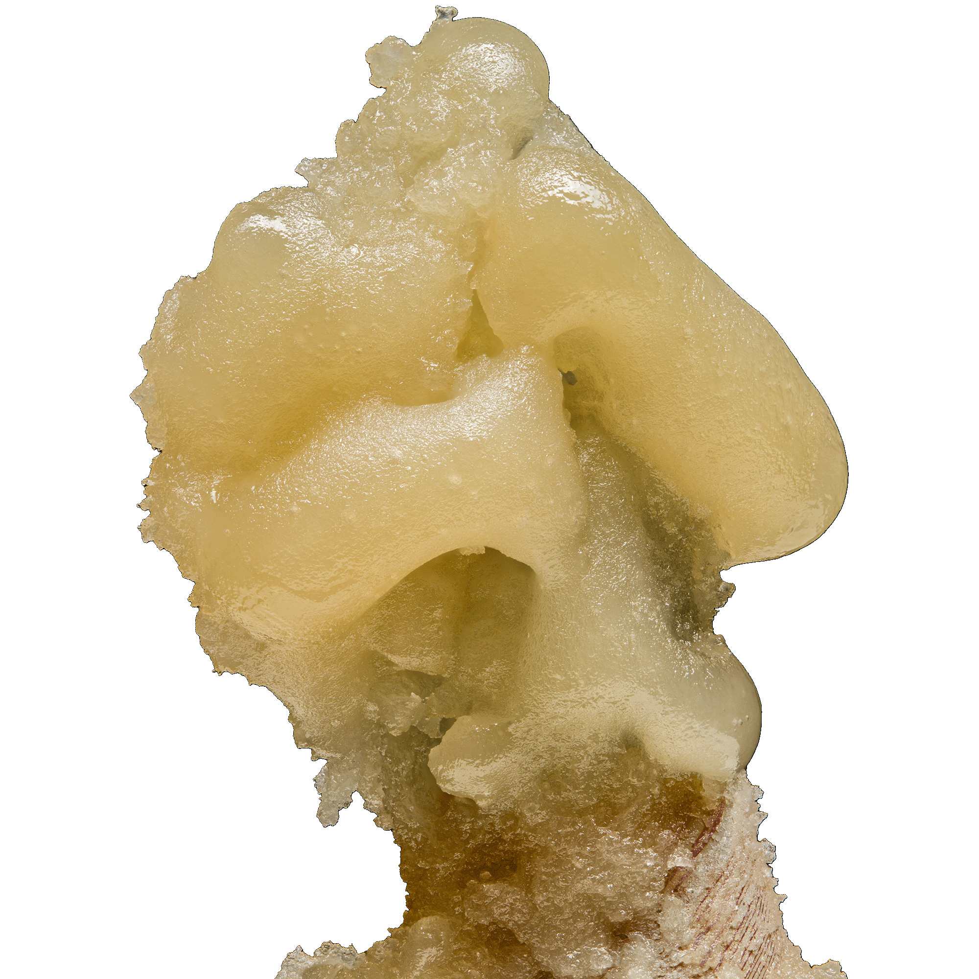 Ronin Live Hash Rosin