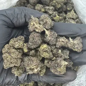 indoor A+++ Zkittlez x runtz