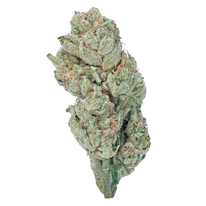 Wham! by Lil Baby 3.5g